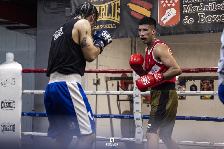 Campeonato de boxeo 