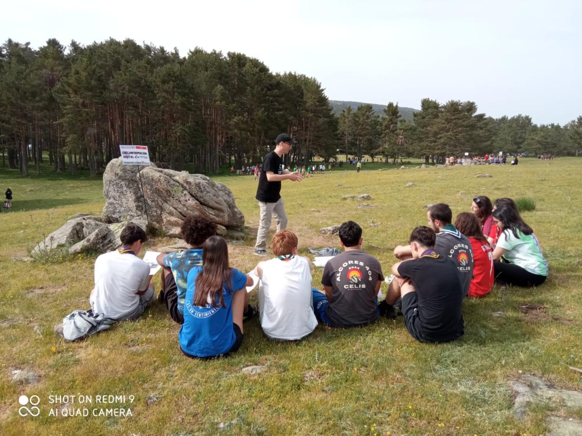 Scout Desactiva7