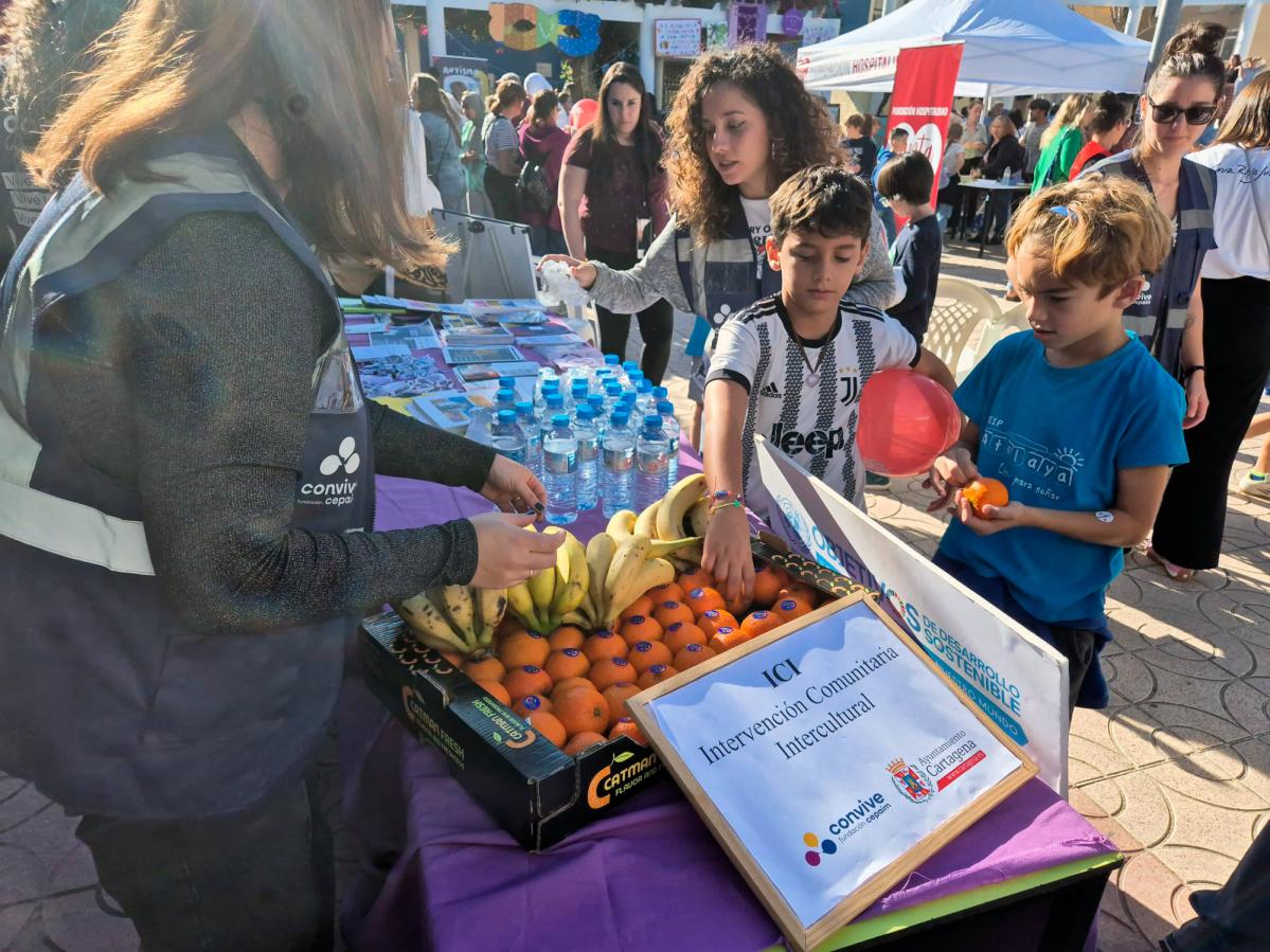 Cartagena-Comunitaria-5