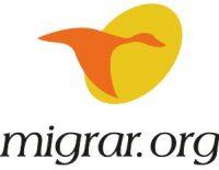 logo migrar cuadrado positivo 300px