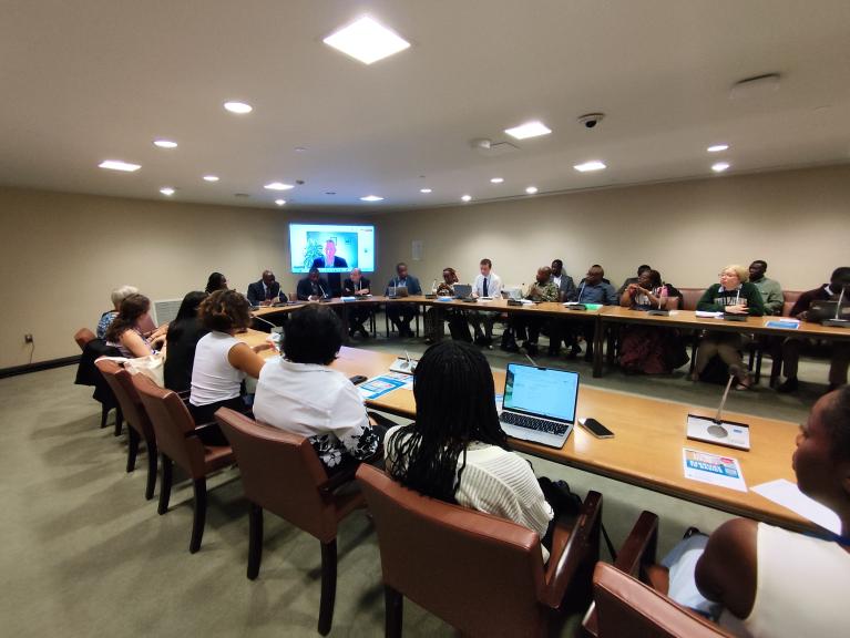 Foro Político de Alto Nivel sobre Desarrollo Sostenible de Naciones Unidas 8