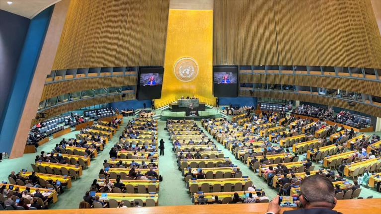 Cepaim ONU - mayo 2026 - 3