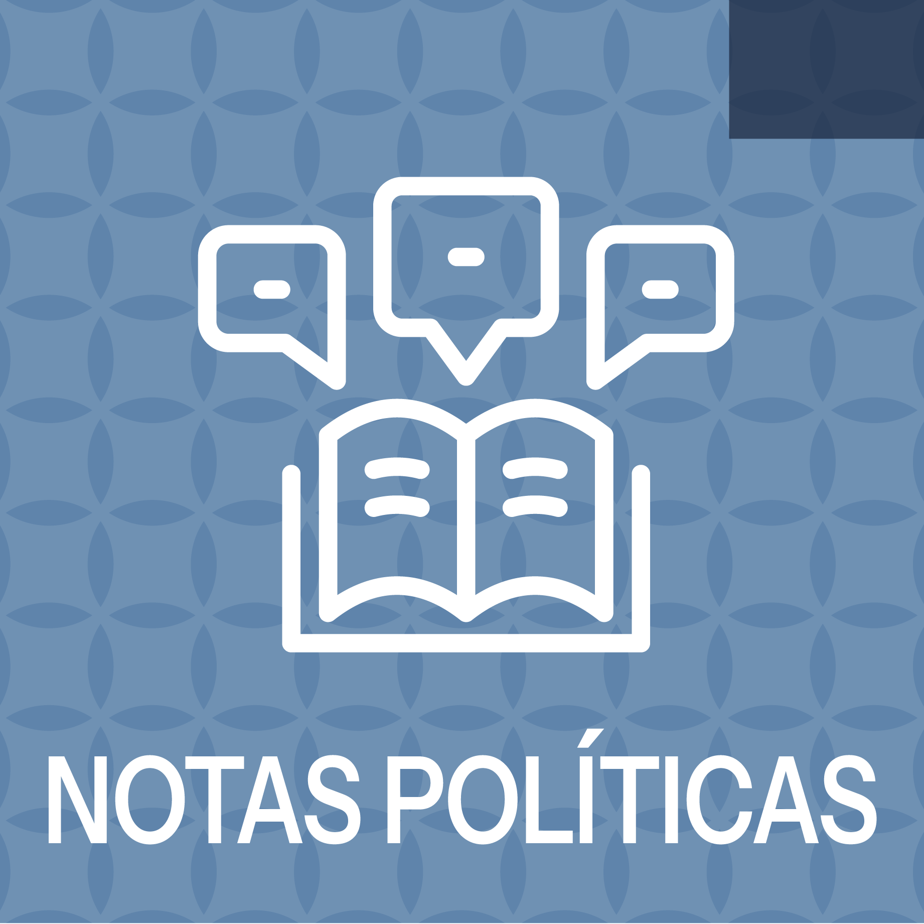 XDS_NOTAS POLÍTICAS_Publicaciones