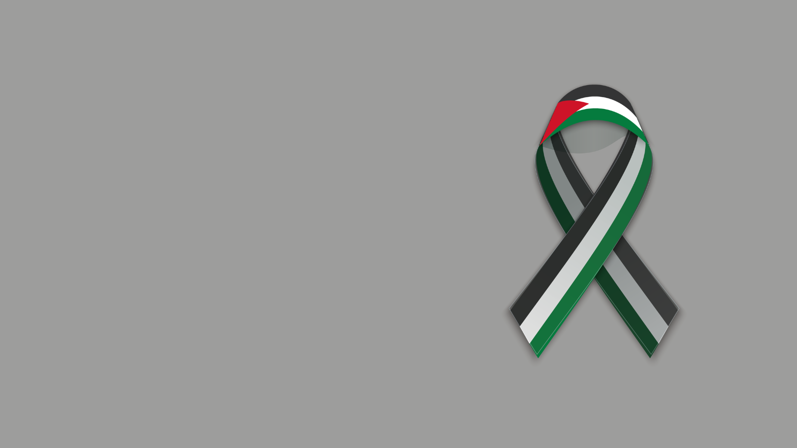29N_Día con el Pueblo Palestino_Cepaim