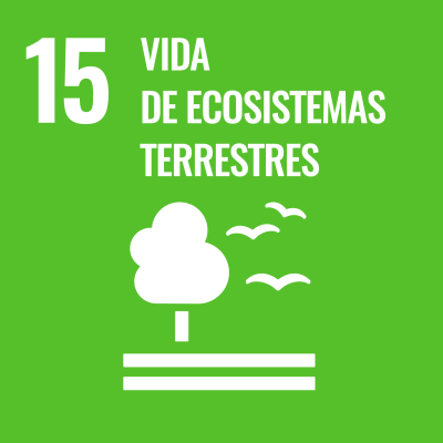 vida de ecosistemas terrestres