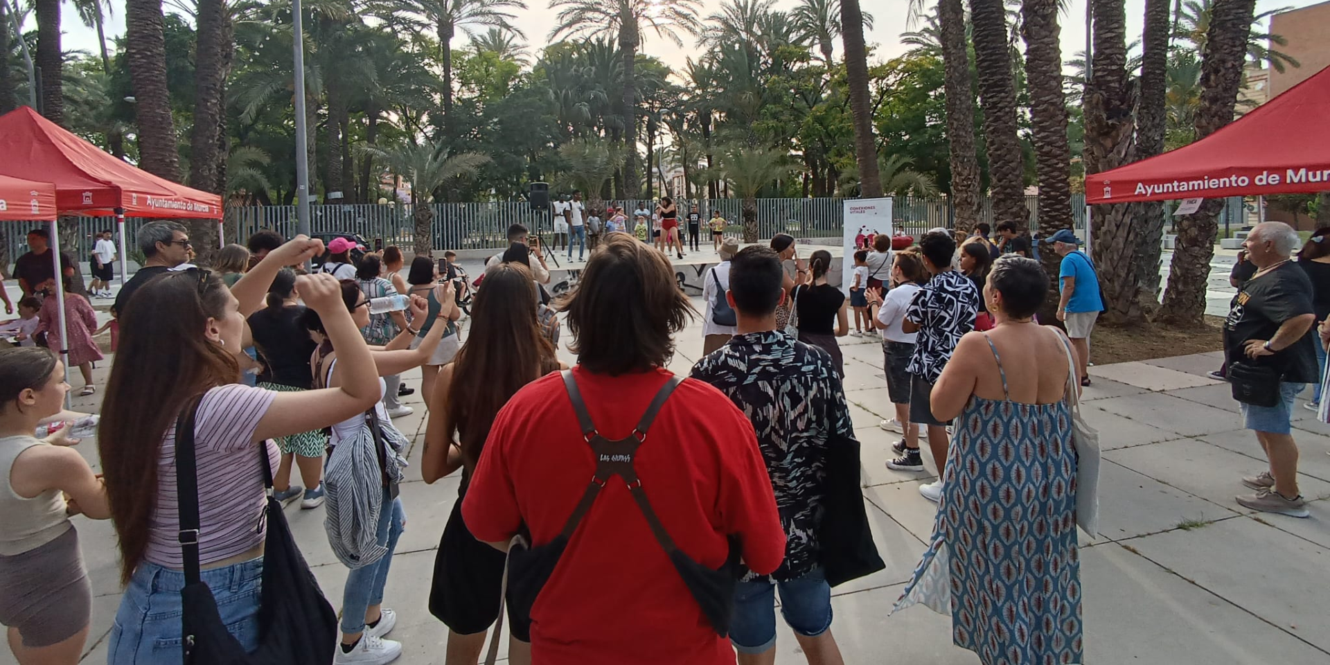 Conexiones vitales Murcia 6