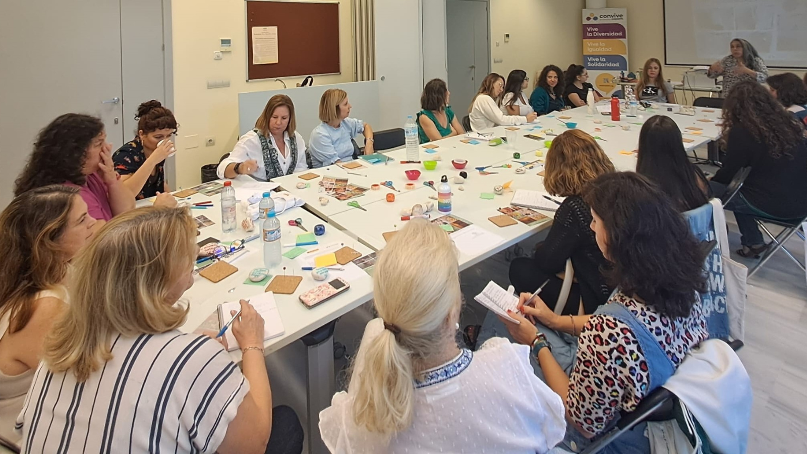 Salir Adelante 25 portada 