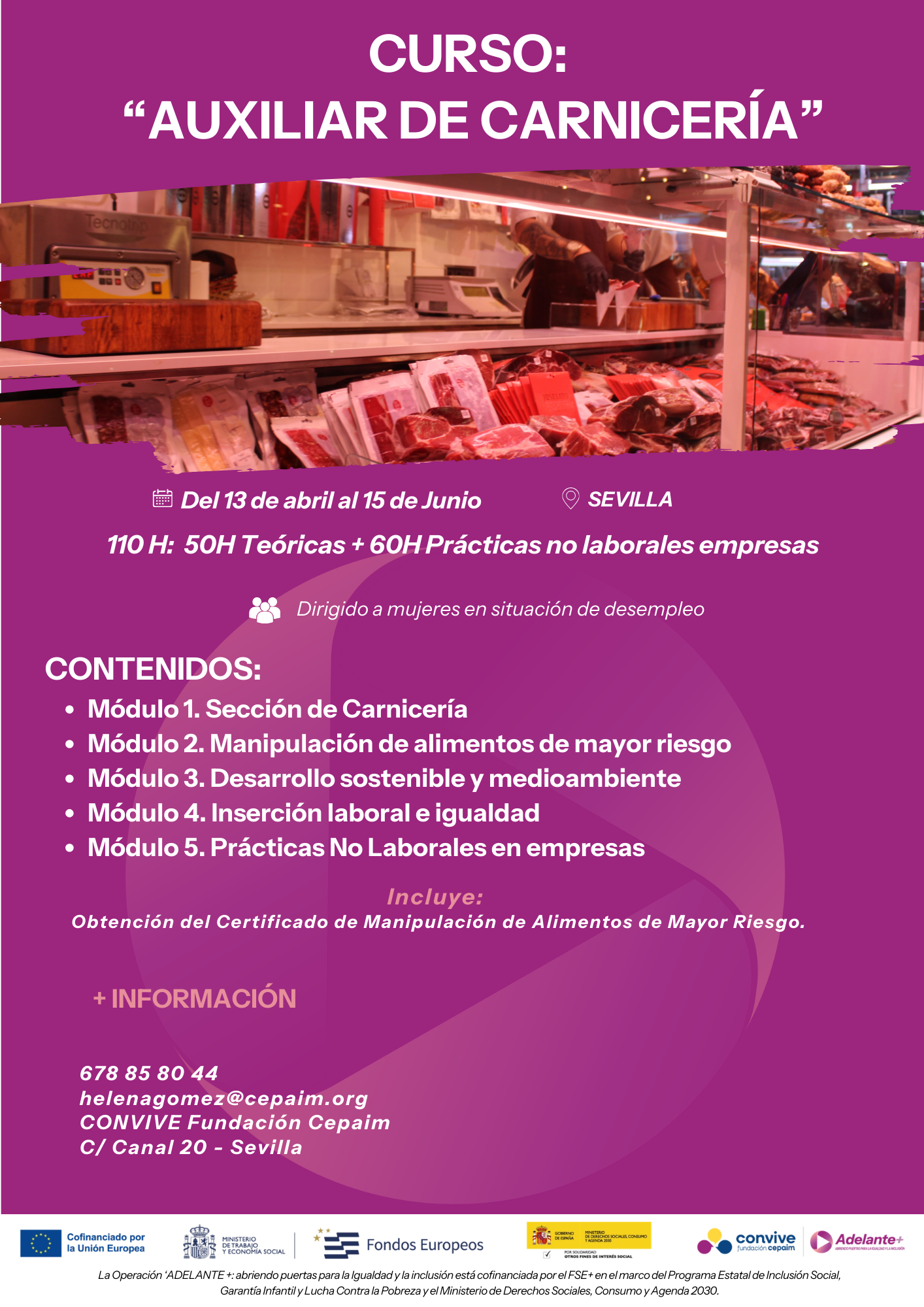 cartel curso auxiliar de carnicería sevilla