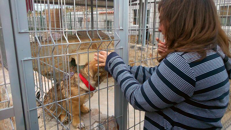 visita sensibilizacion protectora proinfacia cepaim