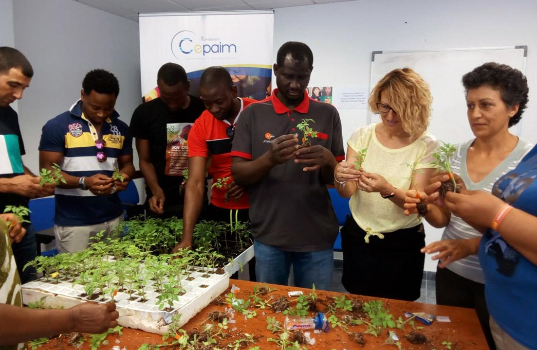 Roquetas RedDeCentros 1 SmartAgro 2019