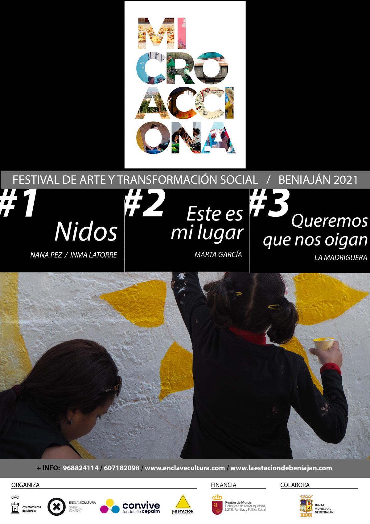 web v2 CARTEL MICROACCIONA General