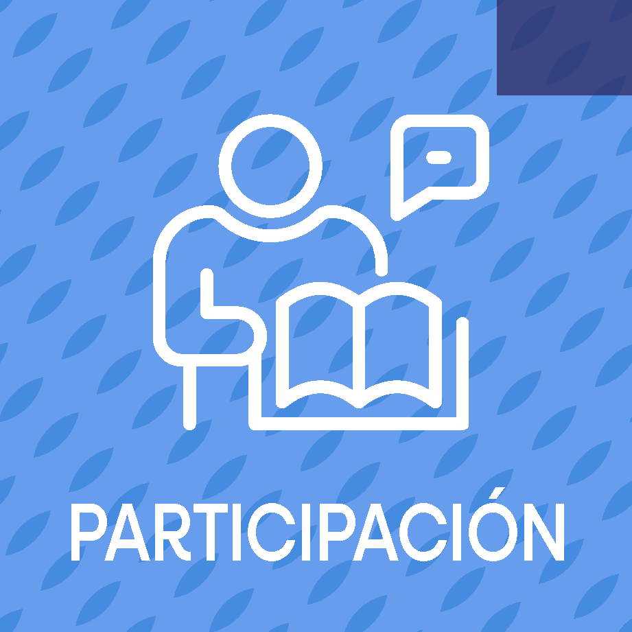 Plantillas XDS Publicaciones PARTICIPACIÓN + TEXTO