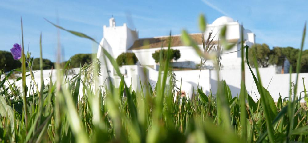 andalucia nuevos senderos