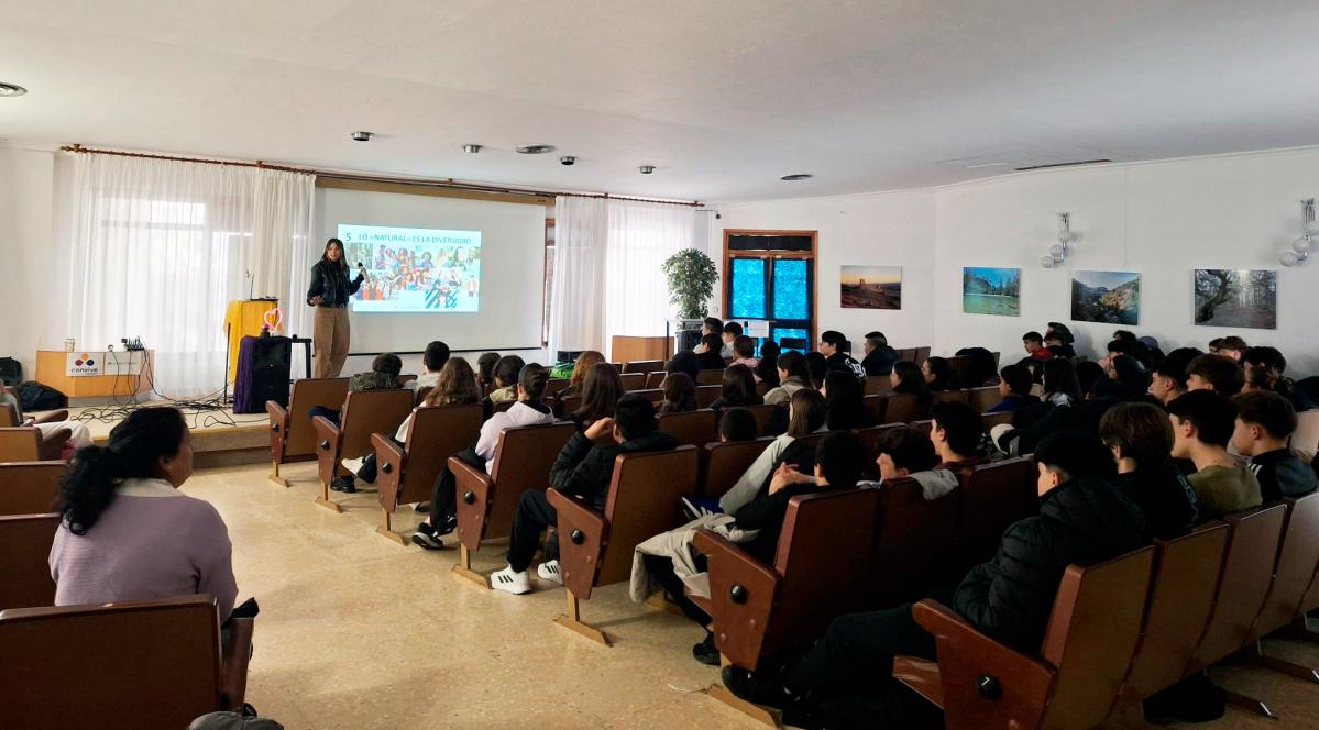 Molina-de-Aragón---resumen-Puentes-II