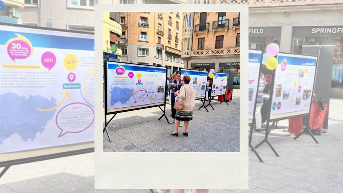 plaza jornada de puertas abiertas 2024