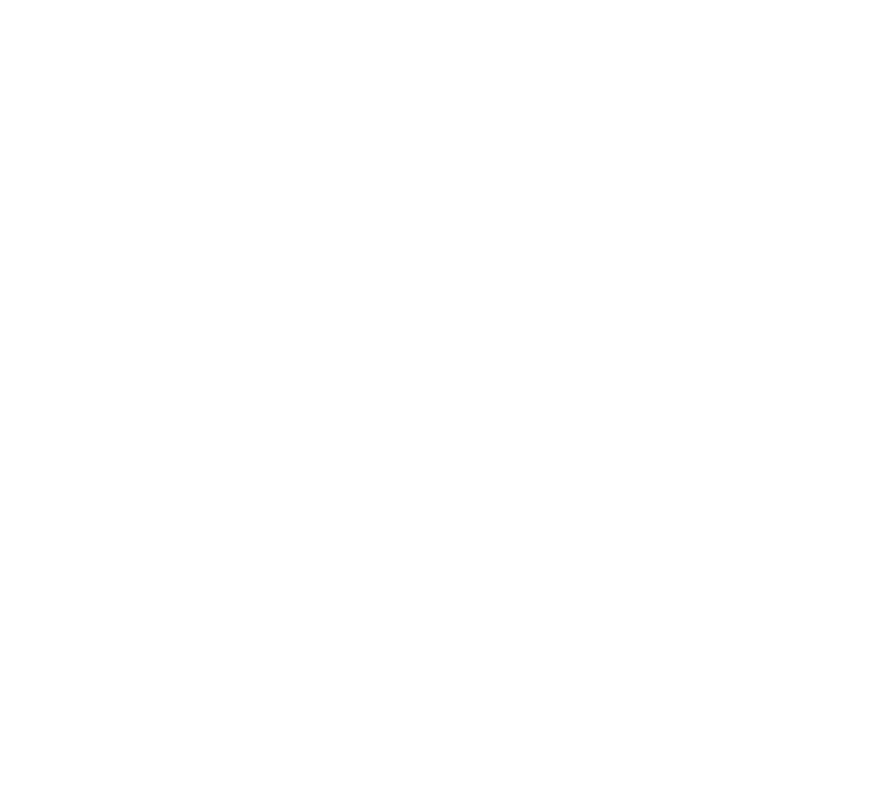 recurso gráfico del proyecto adelante +