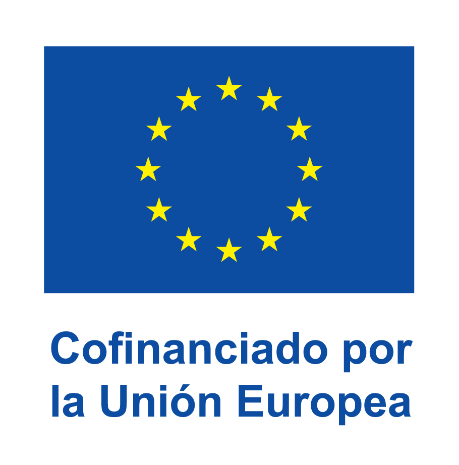 logotipo cofinanciado por la union europea con las estrellas en amarillo