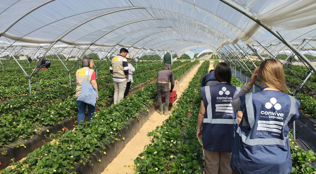 Noticia Visita del Ministerio a Huelva. Programa de Intermediación Laboral