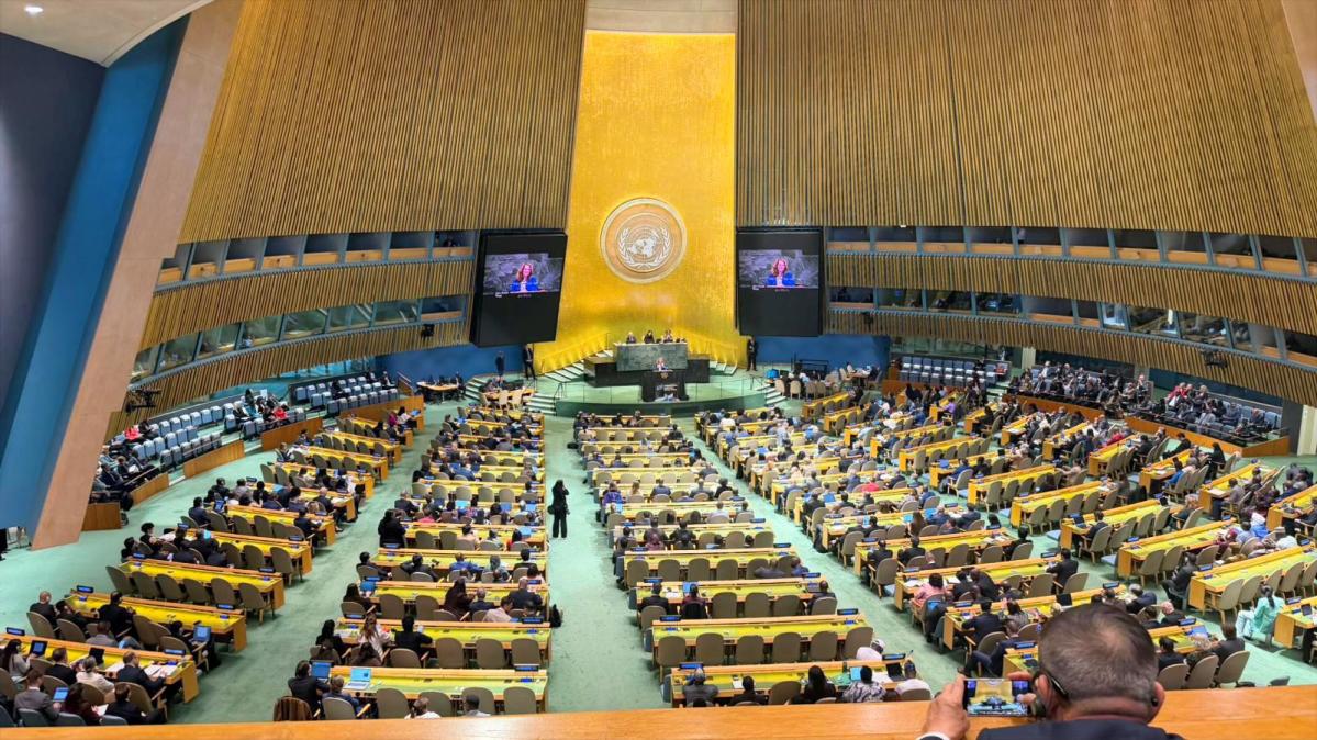 Cepaim ONU - mayo 2026 - 3