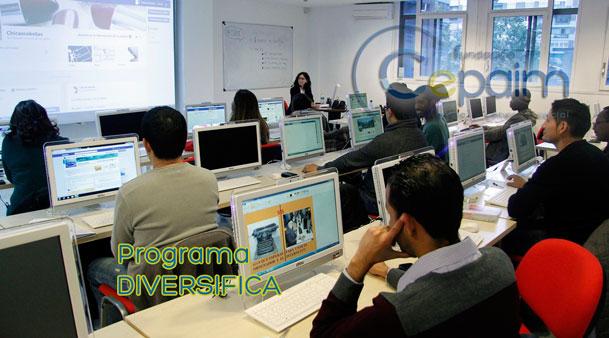 programacion final 2014 cursos diversifica cepaim madrid