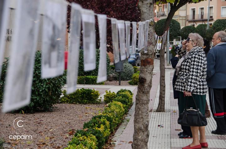 molina dice no violencia de genero exposicion calle 3 cepaim