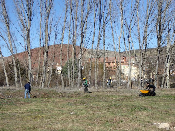 desbrozando huerto social comunitario cepaim molina aragon