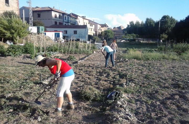 Huerto COmunitario Fundacion Cepaim Ayuntamiento Molina de Aragón
