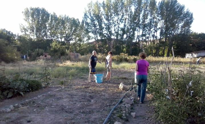 Vecinos trabajo comunitario huerto Molina de Aragon Fundacion Cepaim
