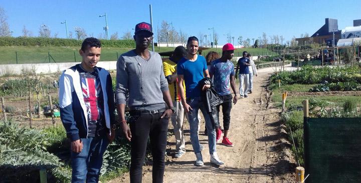 Participantes Acogida Fundacion Cepaim Zaragoza huerto urbano