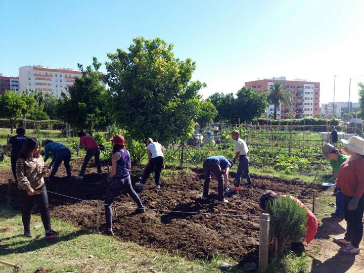Agricultura ecologica mujeres fundacion Cepaim en Huelva Adelante