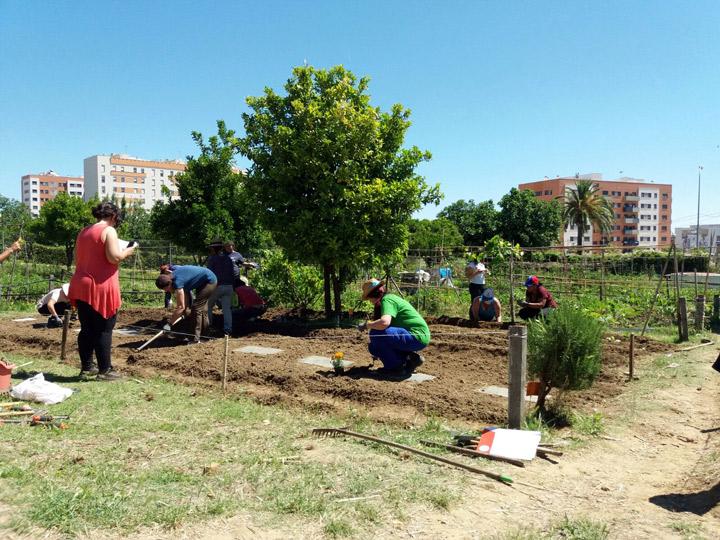 Mujeres Huelva formacion agricultura Fundacion Cepaim Adelante