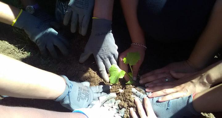 finaliza taller agricultura ecologica huelva fundacion Cepaim