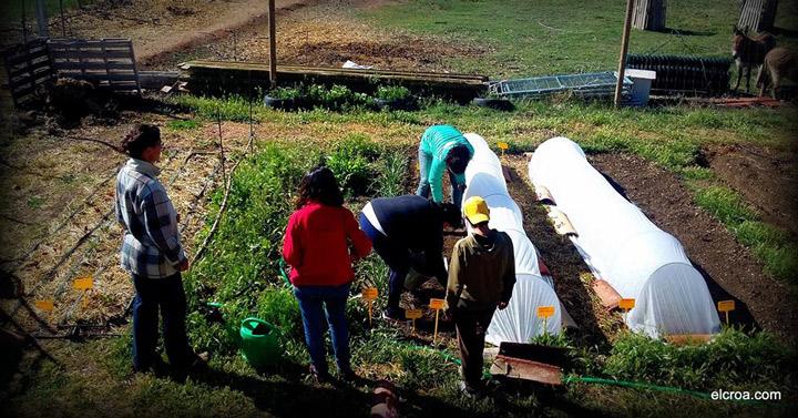 huertos ecológicos Fundacion Cepaim en Teruel Programa Adelante