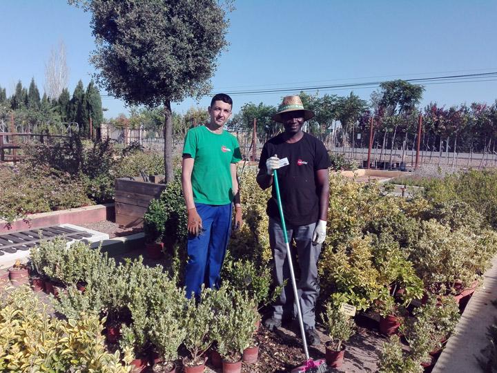 PFI Mantenimiento comunidades piscinas Cepaim Ciudad Real 3