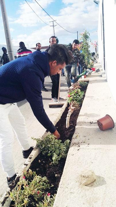 Taller Jardineria Básica Centro de Dia Fundacion Cepaim en Nijarweb6