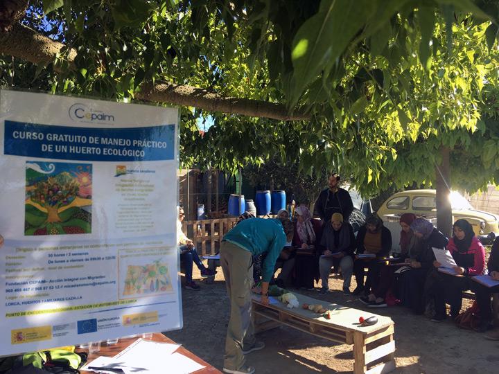 Huerto Ecologico Fundacion Cepaim en Murcia Nuevos Senderos4