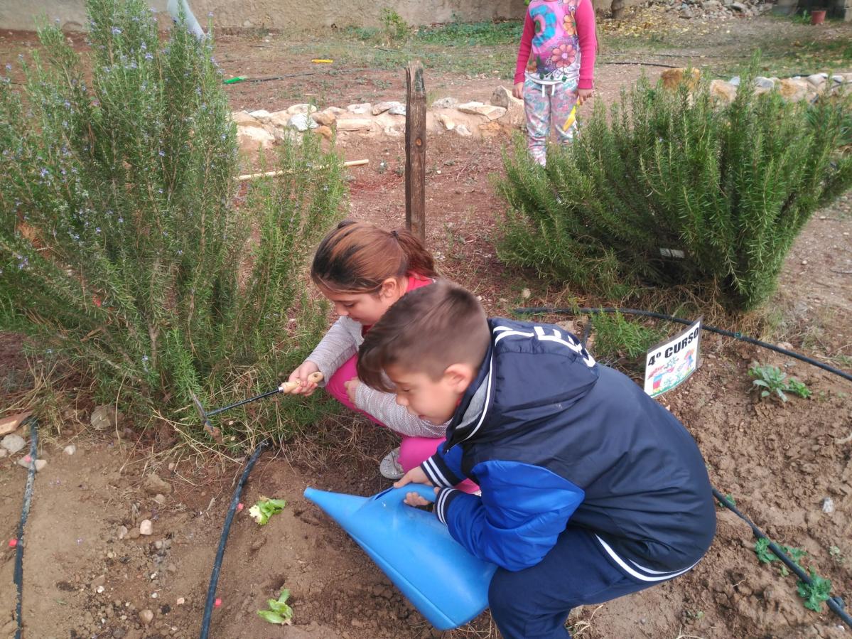 Menores del programa CaixaProinfancia trabajando en el huerto ecológico en Murcia