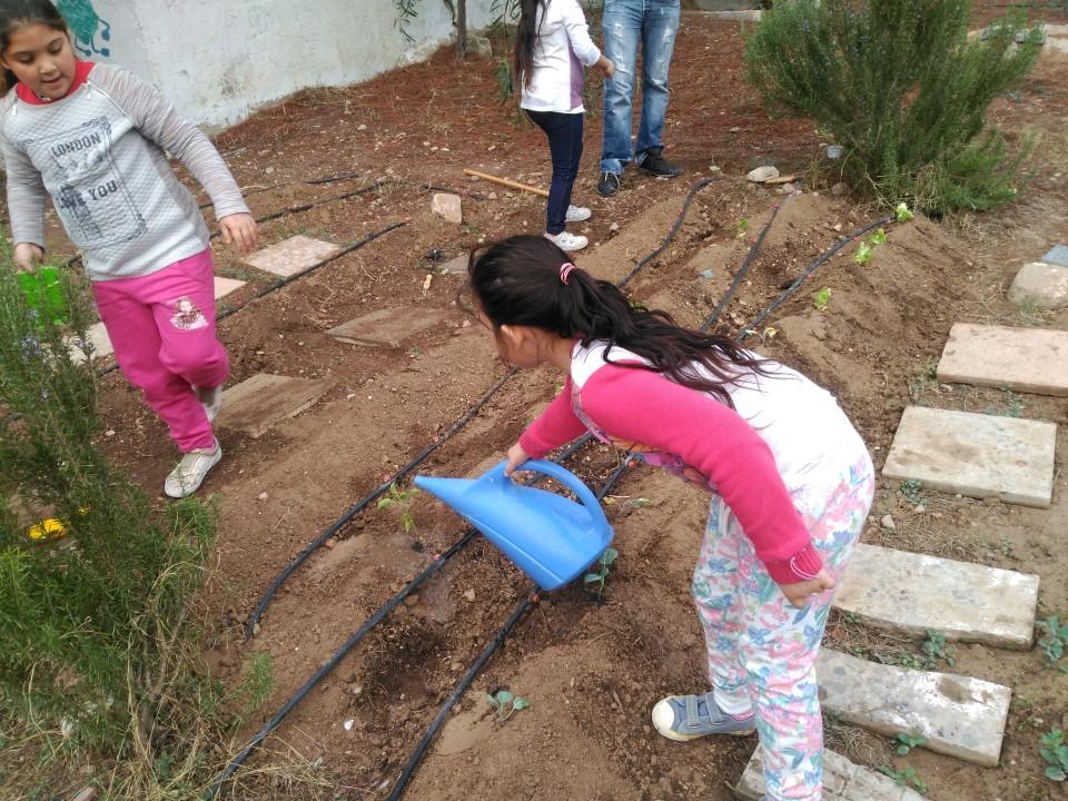 Menores del programa CaixaProinfancia trabajando en el huerto ecológico en Murcia