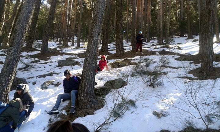 Ocio y tiempo libre grupo Fundacion Cepaim en Madrid excursion a Cercedilla5