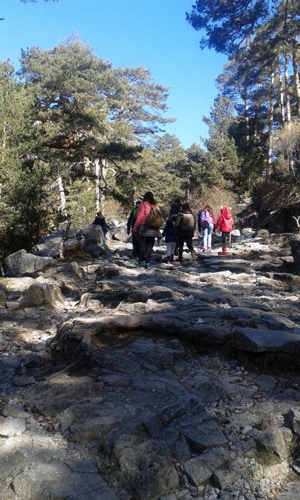 Ocio y tiempo libre grupo Fundacion Cepaim en Madrid excursion a Cercedilla6