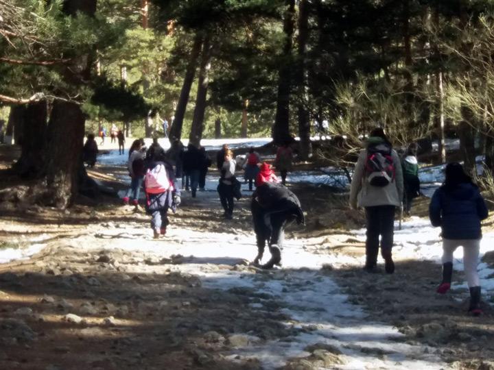 Ocio y tiempo libre grupo Fundacion Cepaim en Madrid excursion a Cercedilla8