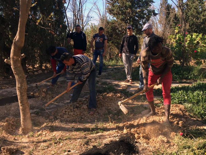 Huerto Ecologico Torre Pacheco marzo2018 2