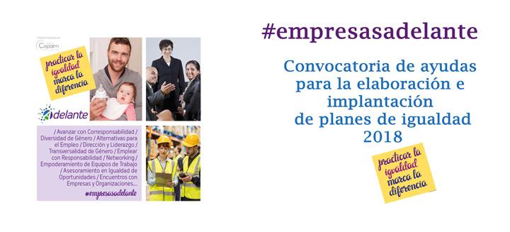 CartelWEB AyudasPlanesdeIgualdad2018