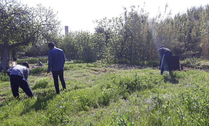 Huerto Ecologico Parque Moret Fundacion Cepaim en Huelva 1