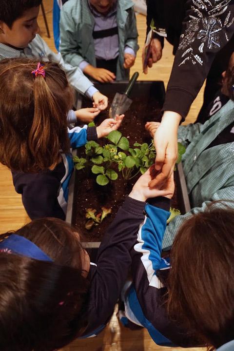 Huerto Soria ColegioEscolapias mayo2018 4