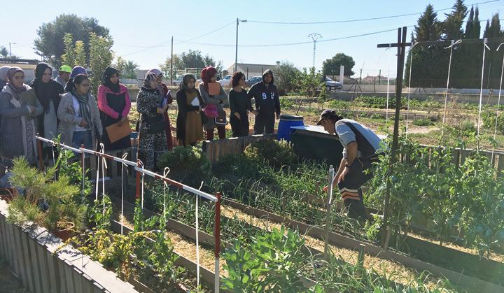 Huerto Ecologico Fundacion Cepaim en Murcia Nuevos Senderos