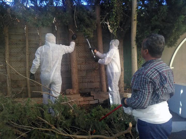 FormaciónJardineria Cartagena 2 RedDeCentros FundacionCepaim noviembre2018