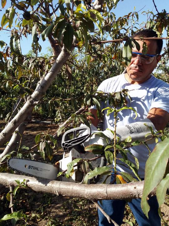 Practicas Incorpora 6 FundacionCepaim Cartagena noviembre2018