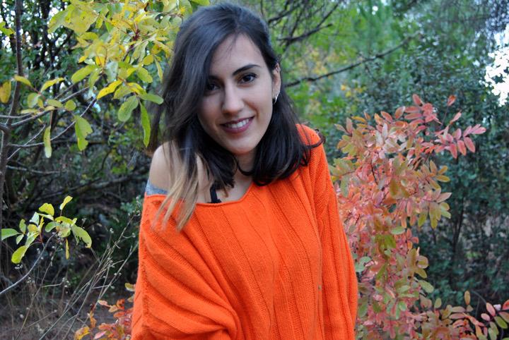 Alicia V Clases  Español WEB