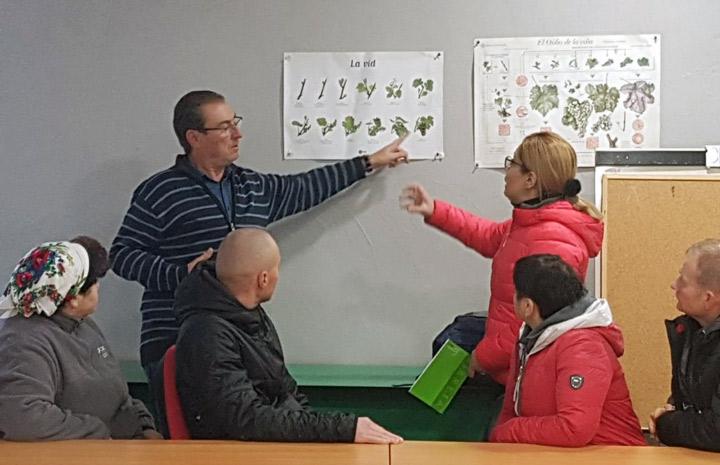 CepaimEmprende trayectoria ciudadReal
